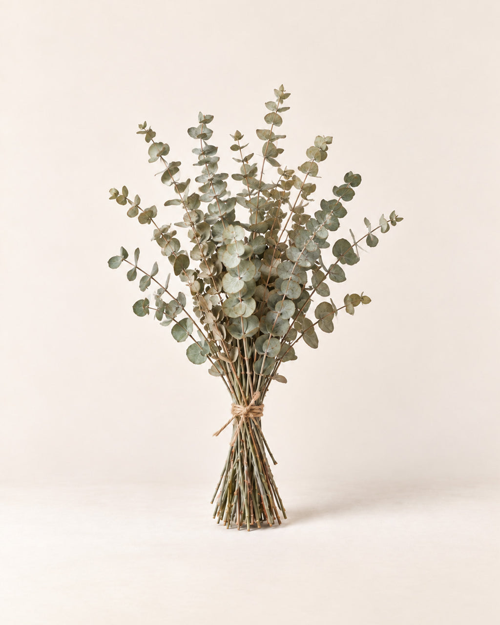 Dried eucalyptus bundle
