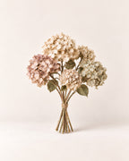 Dried hydrangea bundle