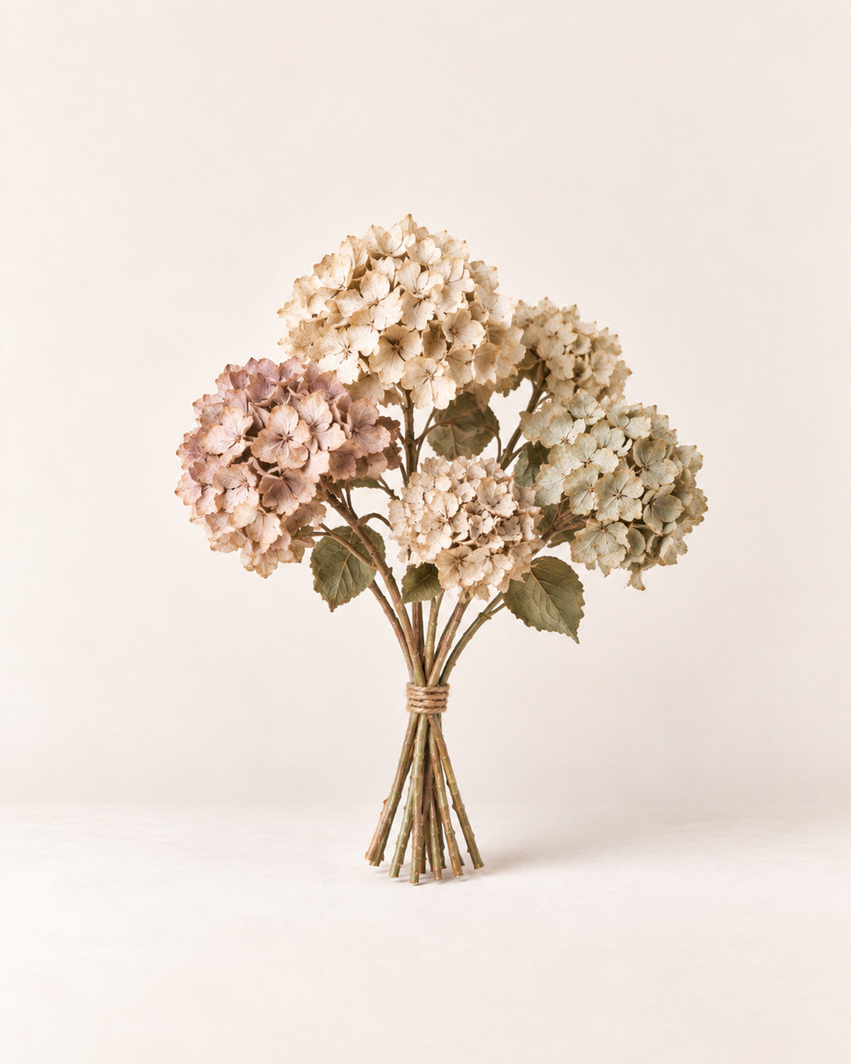 Dried hydrangea bundle
