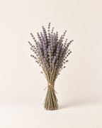 Dried lavender bundle
