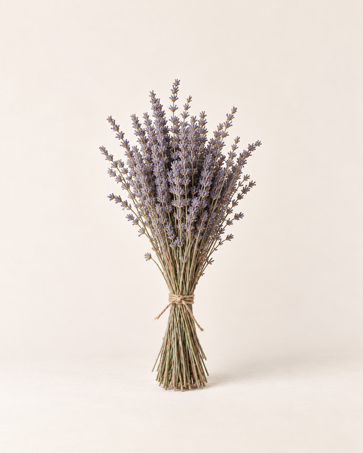 Dried lavender bundle