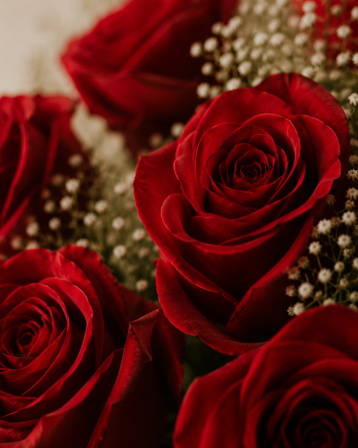 Abstract arrangement of red roses