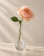 Single peach rose in a clear glass bud vase with textured rounded base