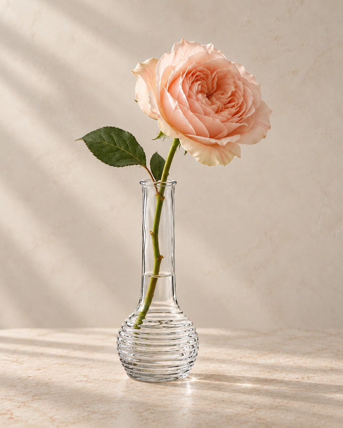 Single peach rose in a clear glass bud vase with textured rounded base