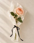 Single peach rose wrapped in tissue and tied with black satin ribbon for gifting